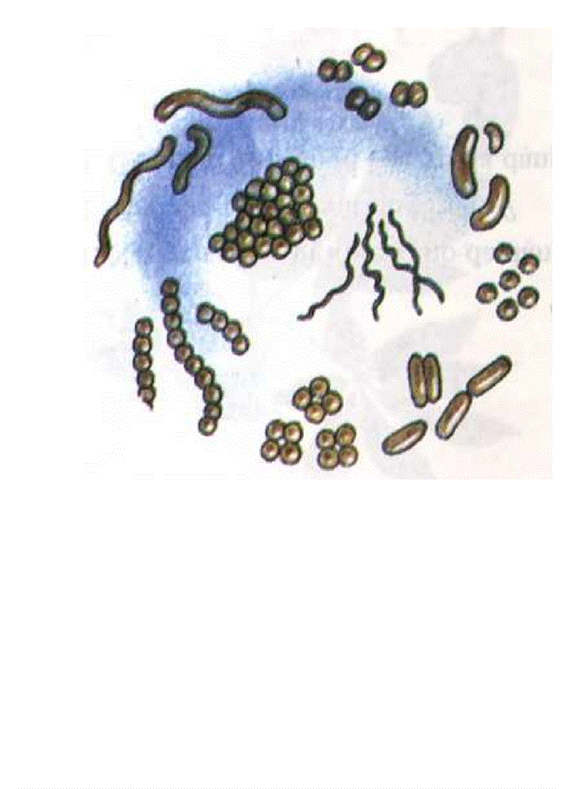 image for page Tranh ảnh sinh lớp 6