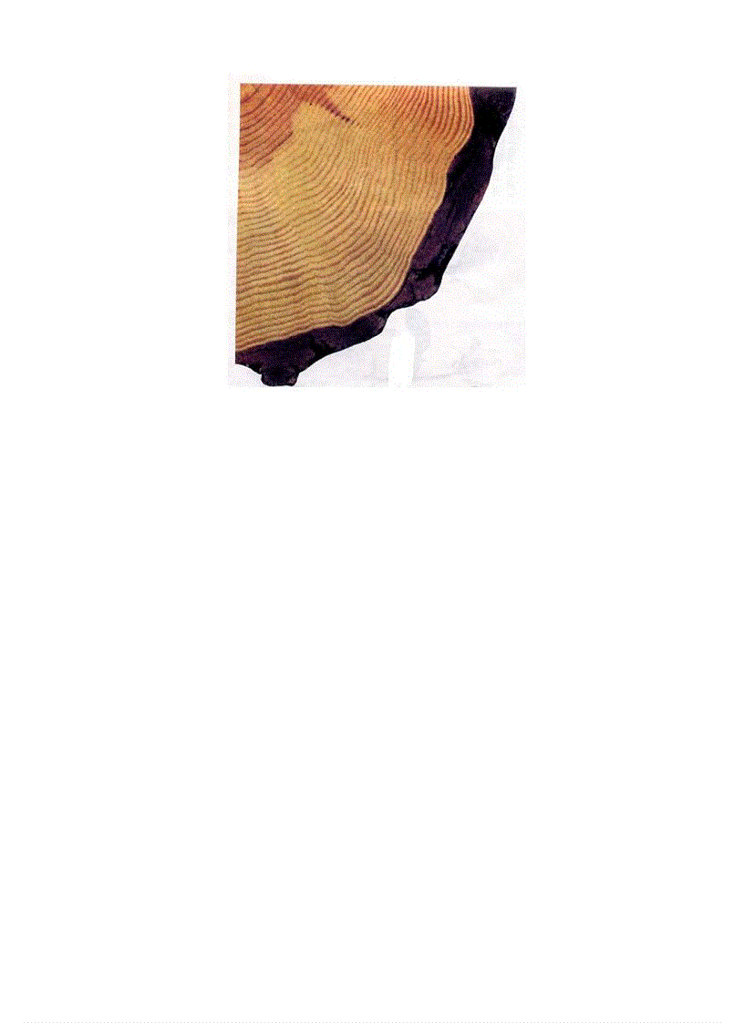 image for page Tranh ảnh sinh lớp 6