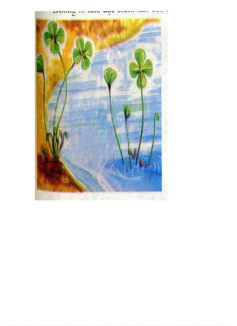 image for page Tranh ảnh sinh lớp 6