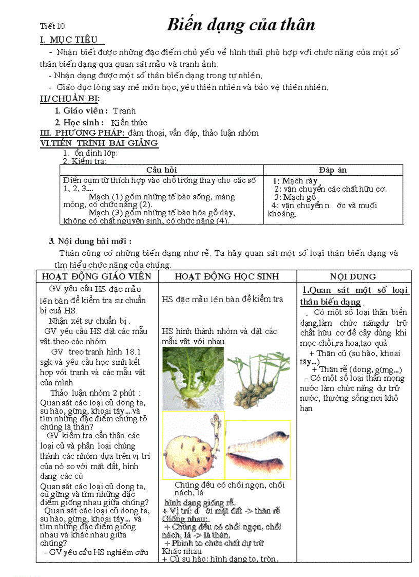 Tuần 10 sinh 6