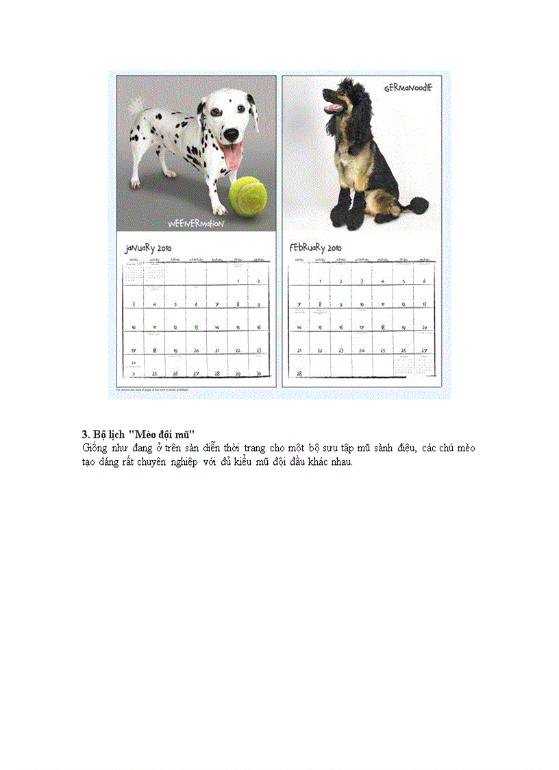 image for page 10 bộ lịch động vật năm 2010 sáng tạo