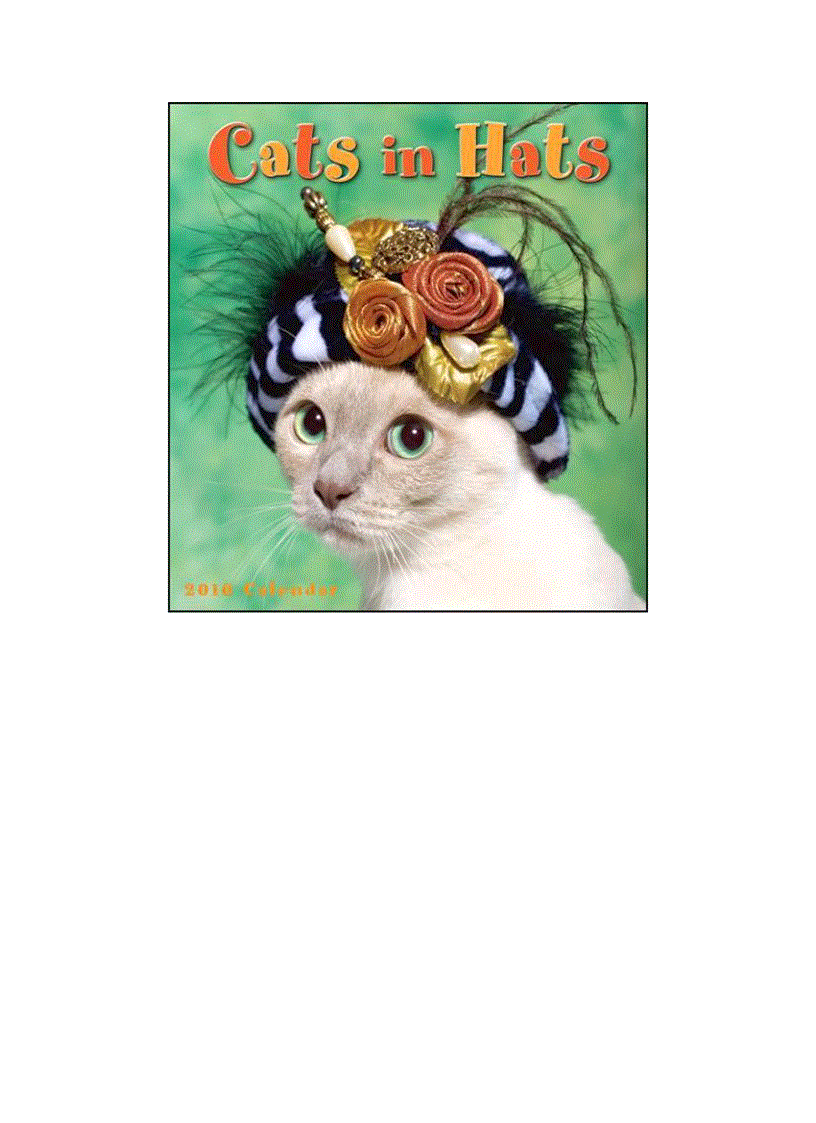 image for page 10 bộ lịch động vật năm 2010 sáng tạo