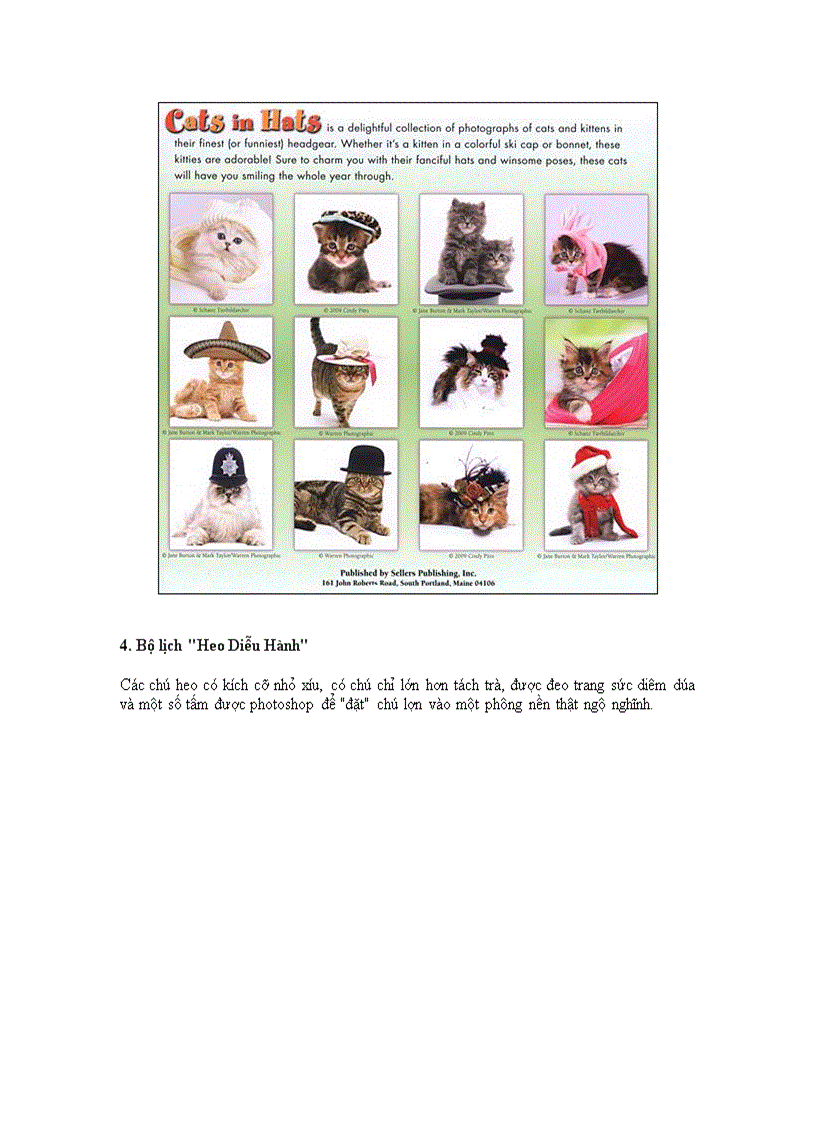 image for page 10 bộ lịch động vật năm 2010 sáng tạo