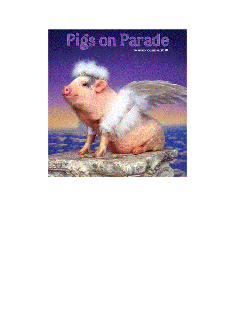 image for page 10 bộ lịch động vật năm 2010 sáng tạo