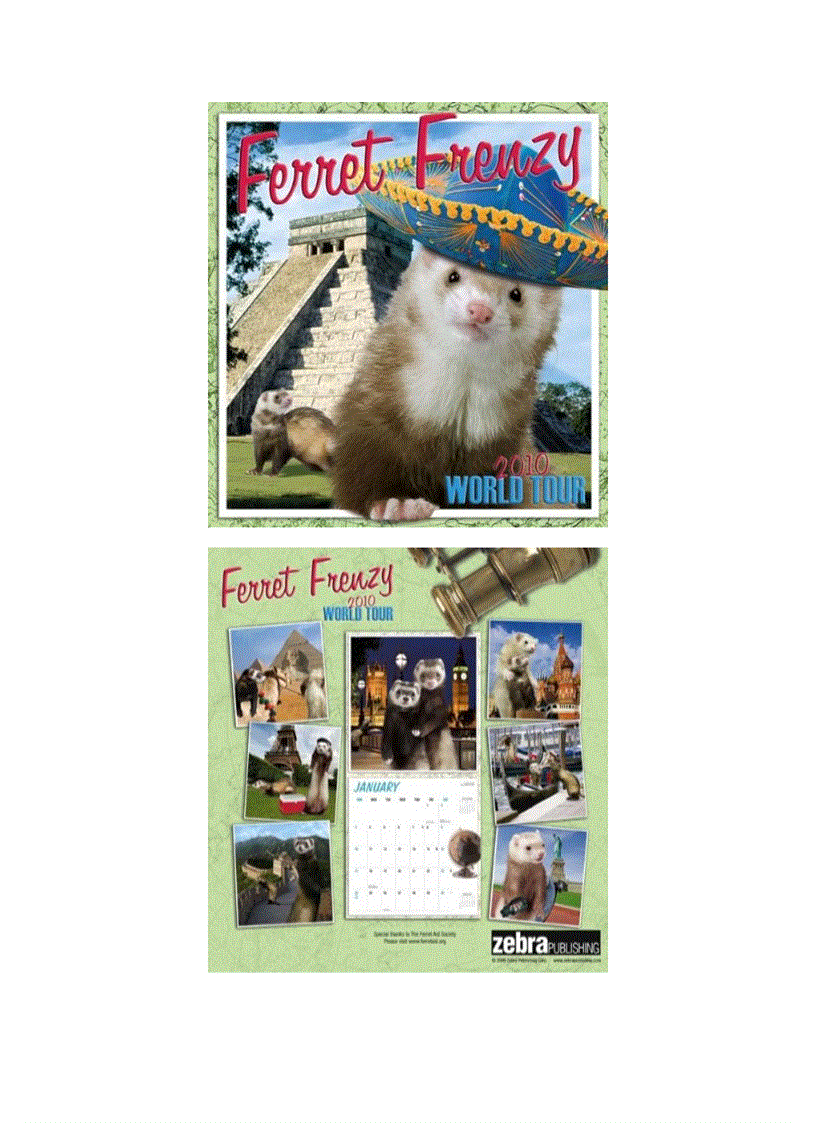 image for page 10 bộ lịch động vật năm 2010 sáng tạo