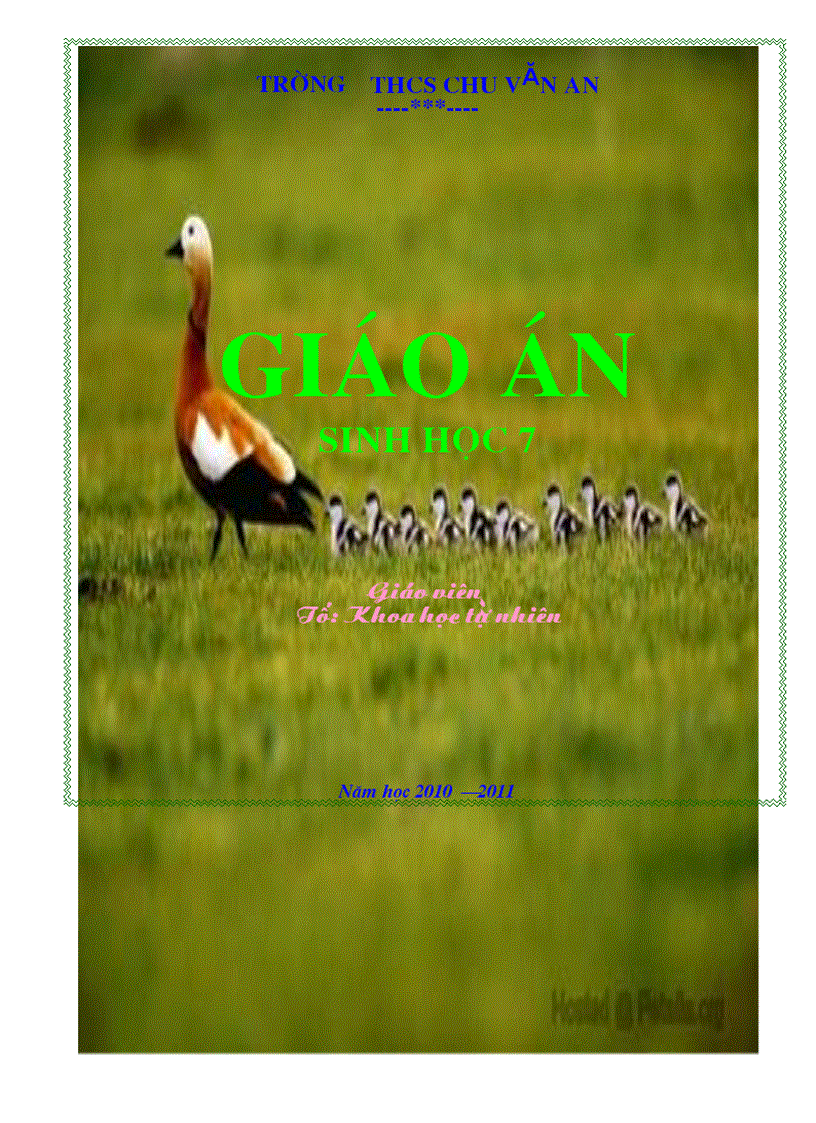 image for page Bia giao an sinh hoc 7