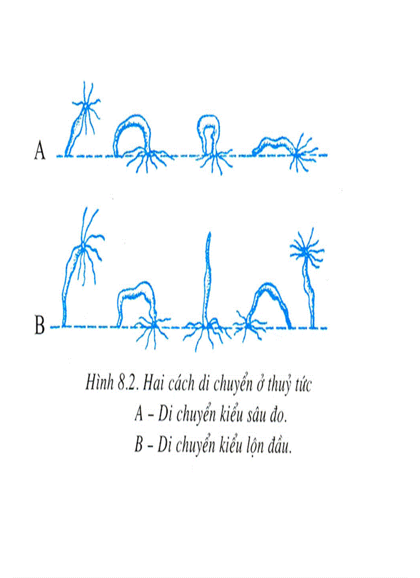 image for page Bộ tranh sinh học 7 Đầy đủ