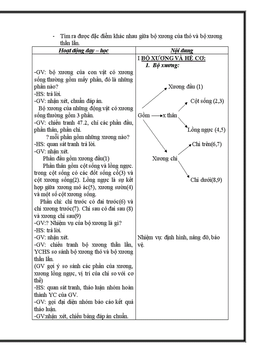 image for page Cấu tạo trong thỏ doc
