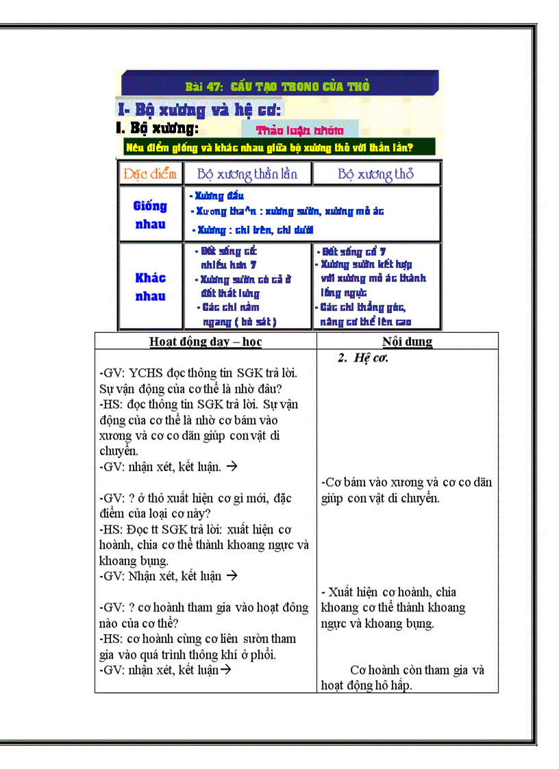image for page Cấu tạo trong thỏ doc