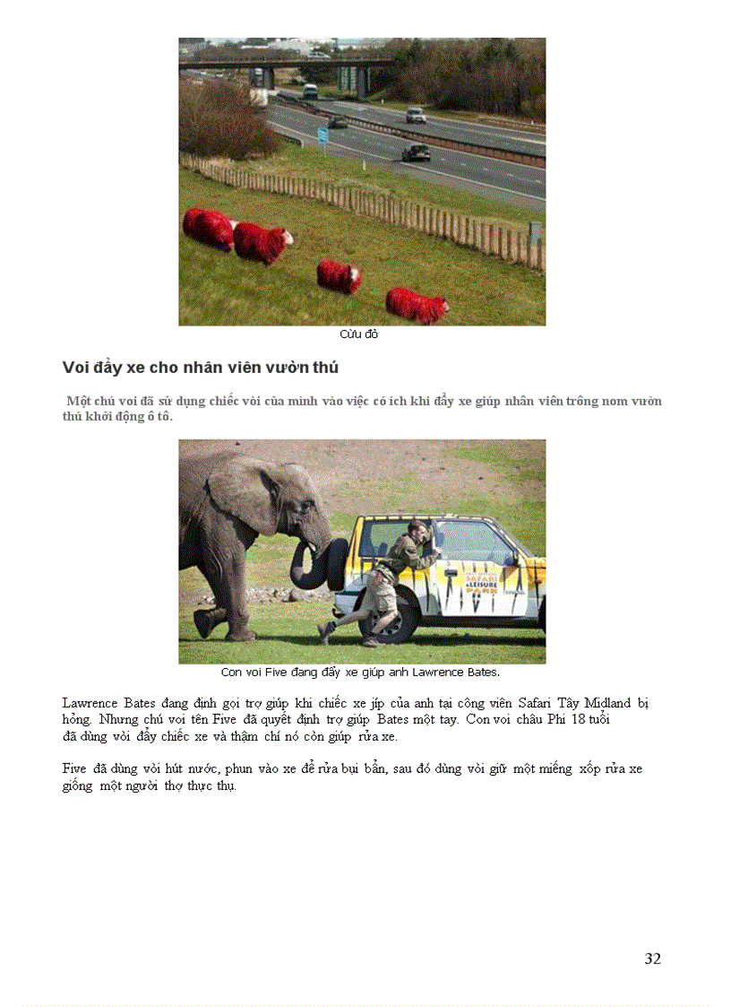 image for page Chuyện lạ của 1 số Động vật và thực vật