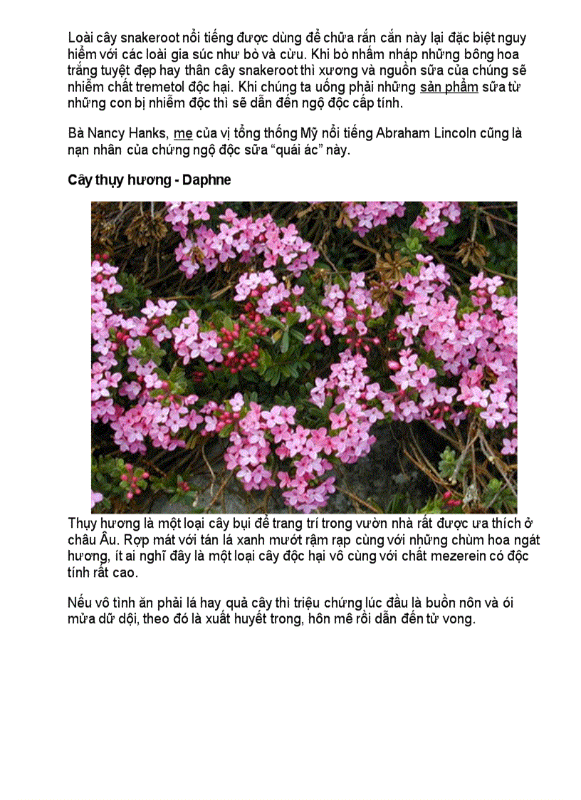 image for page Điểm mặt những loài hoa cực độc