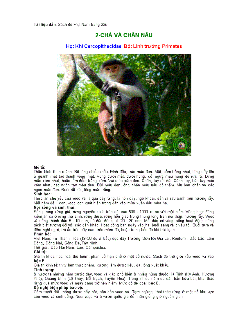 image for page Động vật quí hiếm bộ linh trưởng