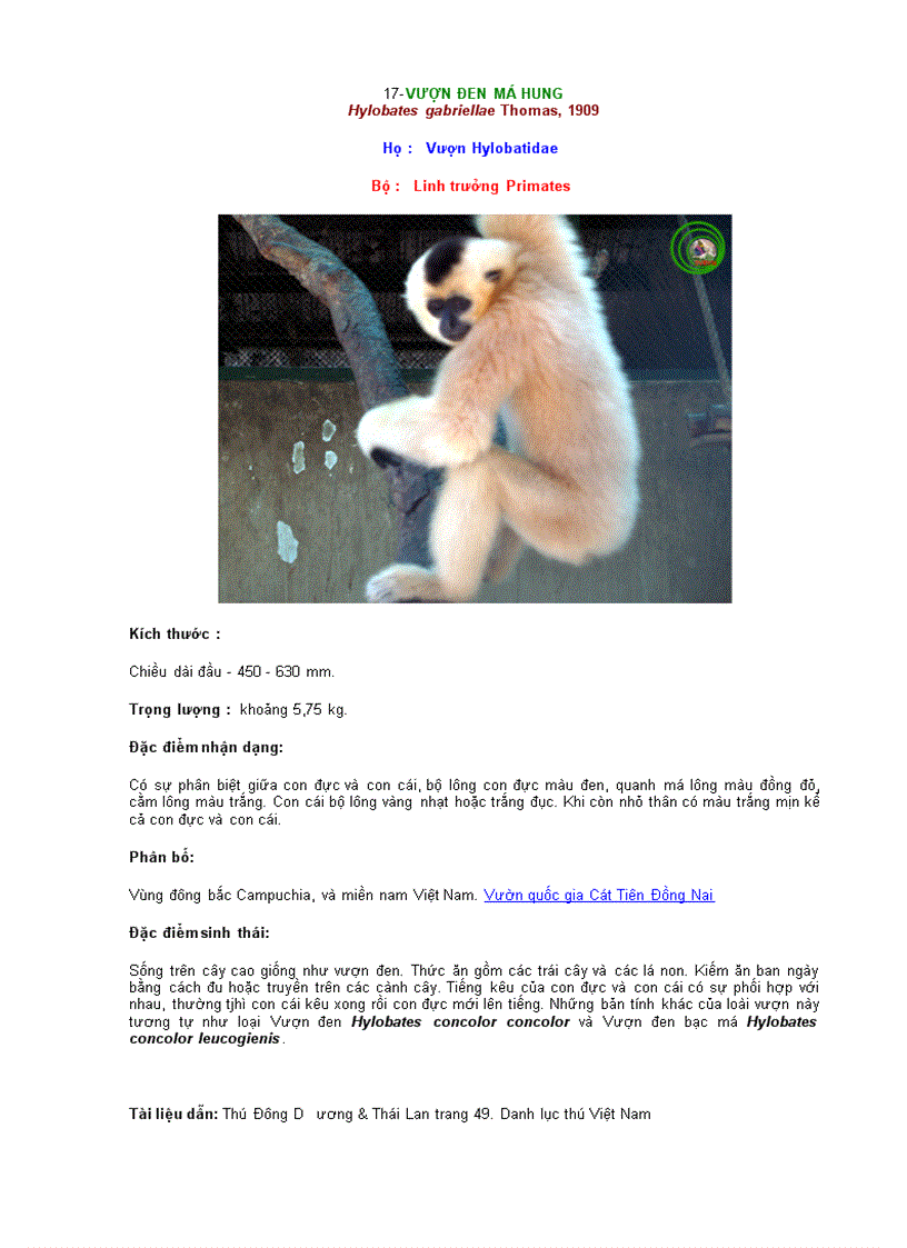 image for page Động vật quí hiếm bộ linh trưởng