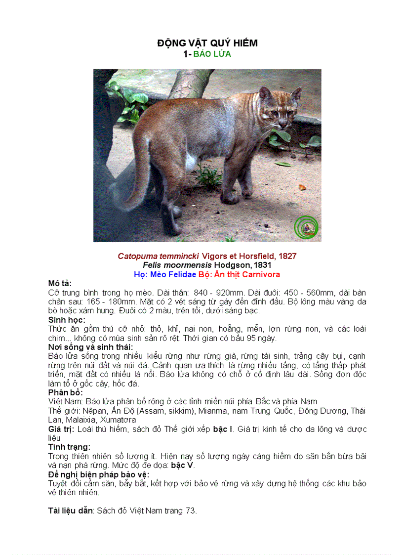 image for page ĐỘNG VẬT QUÍ HIẾM Lớp Thú vần B C