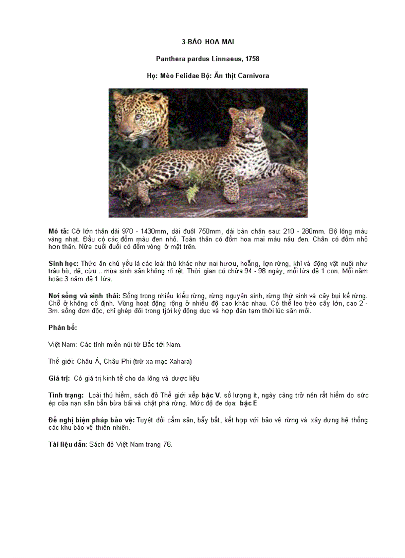 image for page ĐỘNG VẬT QUÍ HIẾM Lớp Thú vần B C