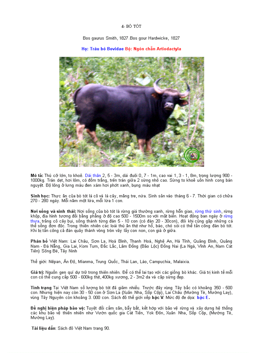 image for page ĐỘNG VẬT QUÍ HIẾM Lớp Thú vần B C