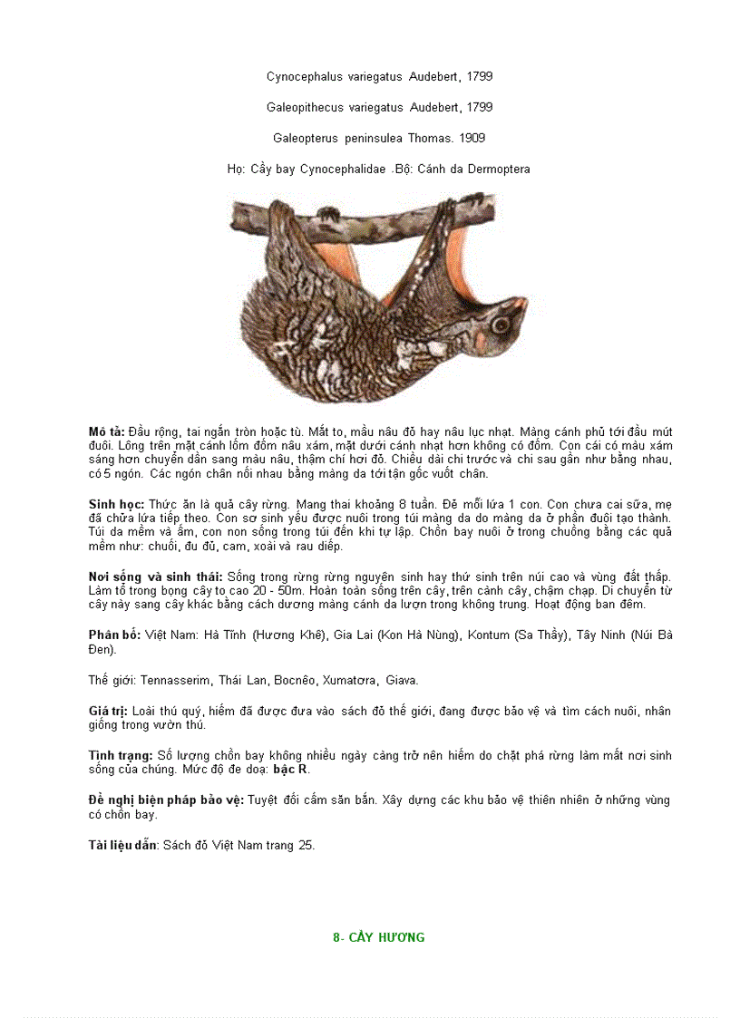 image for page ĐỘNG VẬT QUÍ HIẾM Lớp Thú vần B C