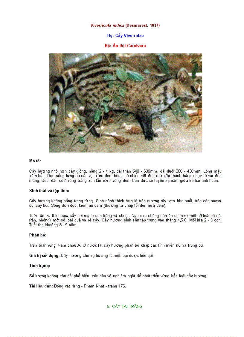 image for page ĐỘNG VẬT QUÍ HIẾM Lớp Thú vần B C