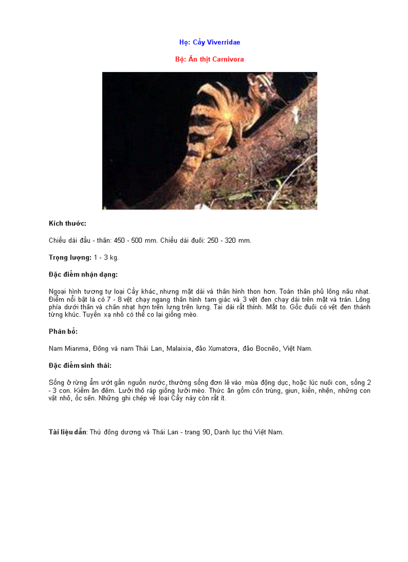 image for page ĐỘNG VẬT QUÍ HIẾM Lớp Thú vần B C