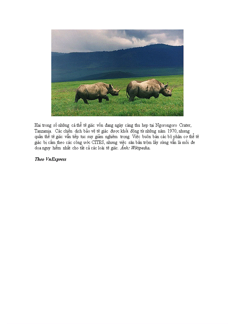 image for page Khám phá thế giới của các loài tê giác