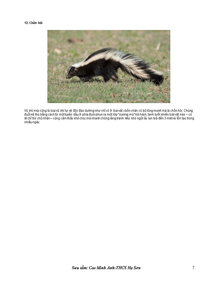 image for page Loài vật khôn ngoan nhất trong cạnh tranh sinh tồn