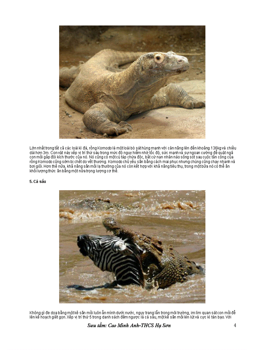 image for page Mười loài săn mồi nguy hiểm nhất