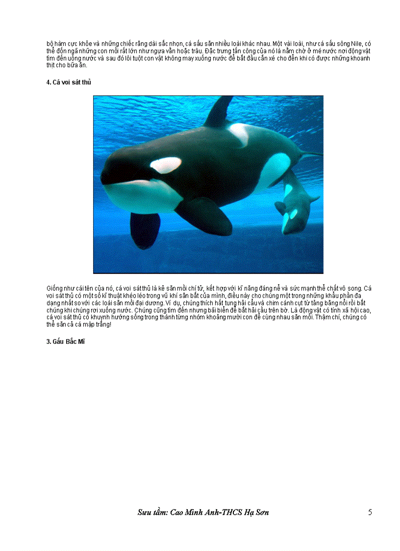 image for page Mười loài săn mồi nguy hiểm nhất