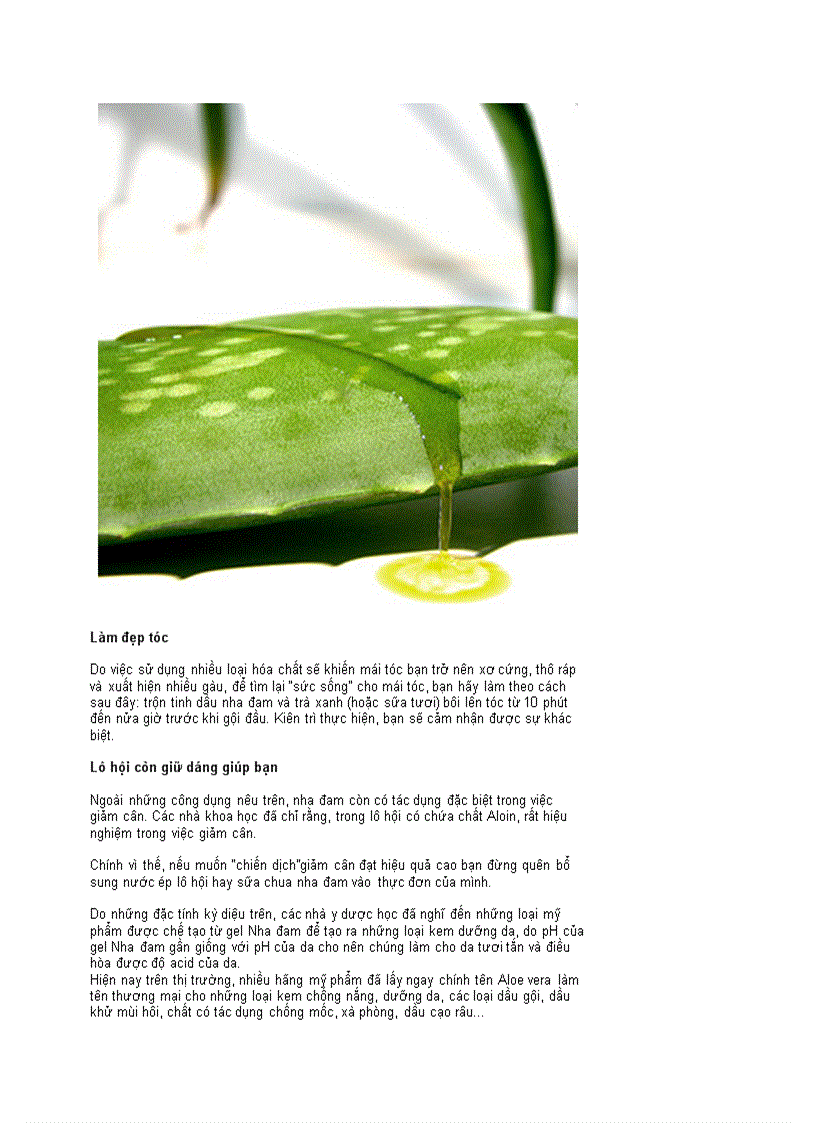 image for page Nha đam có lợi