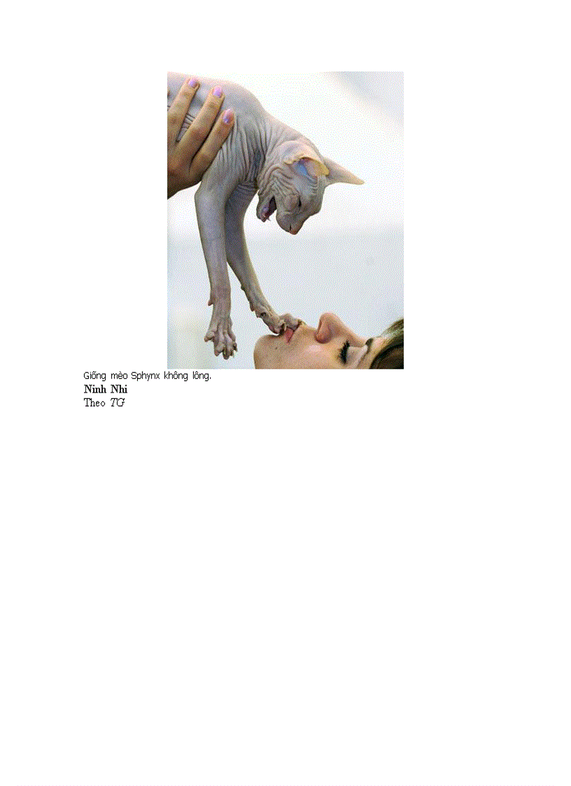 image for page Những động vật kỳ lạ nhất hành tinh