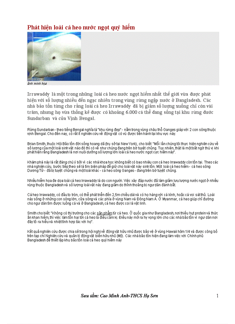 image for page Phát hiện loài cá heo nước ngọt quý hiếm