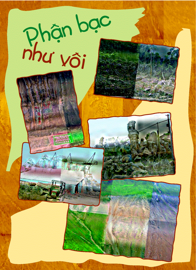 image for page RỪNG XANH Số 24