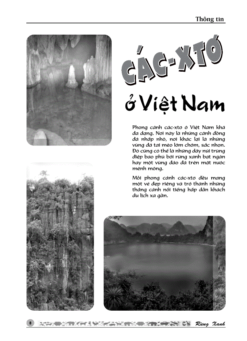 image for page RỪNG XANH Số 24