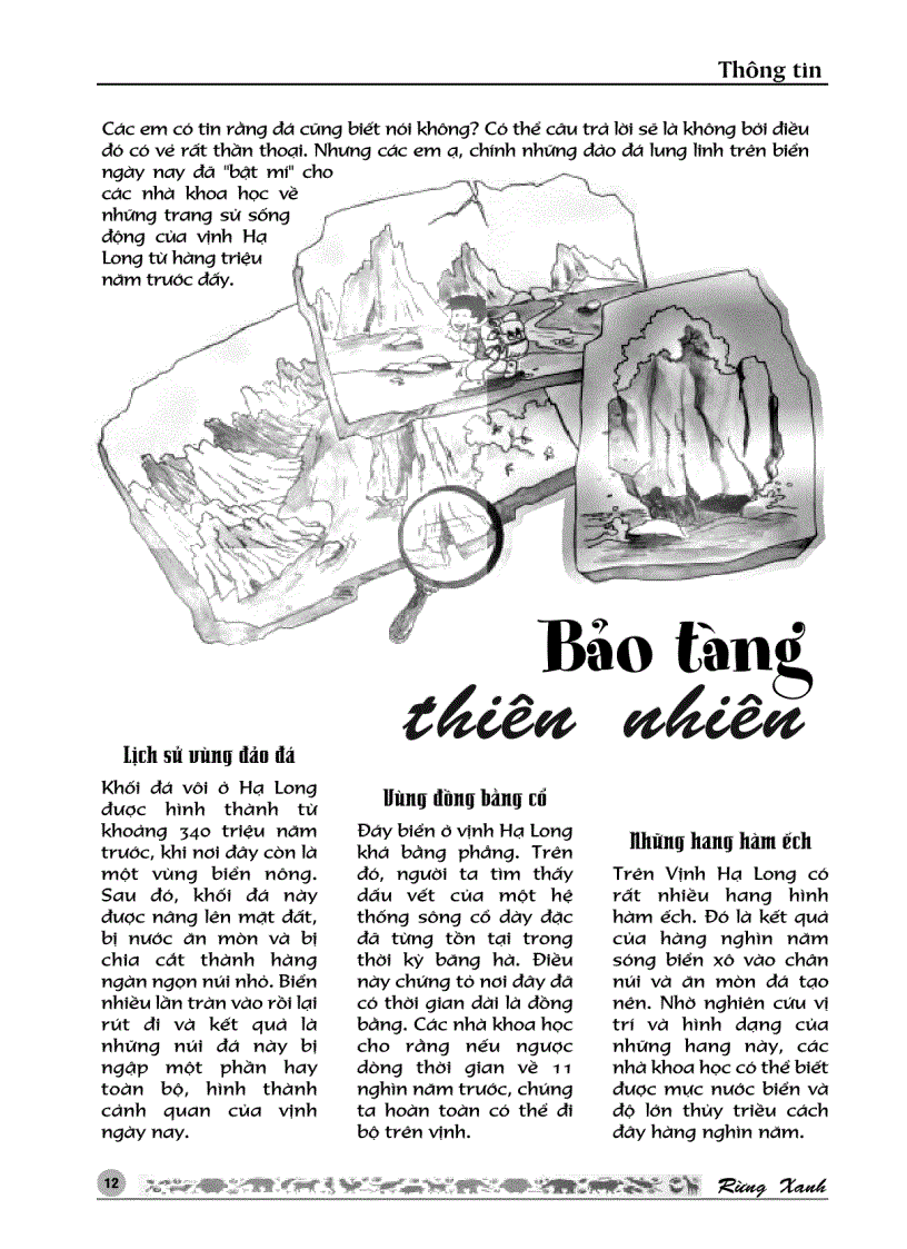 image for page RỪNG XANH Số 24