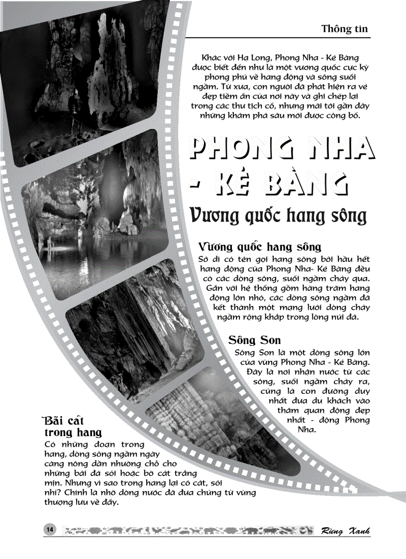 image for page RỪNG XANH Số 24