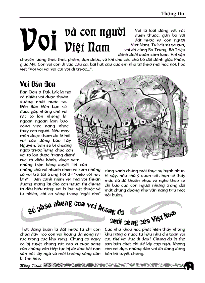 image for page RỪNG XANH Số 26