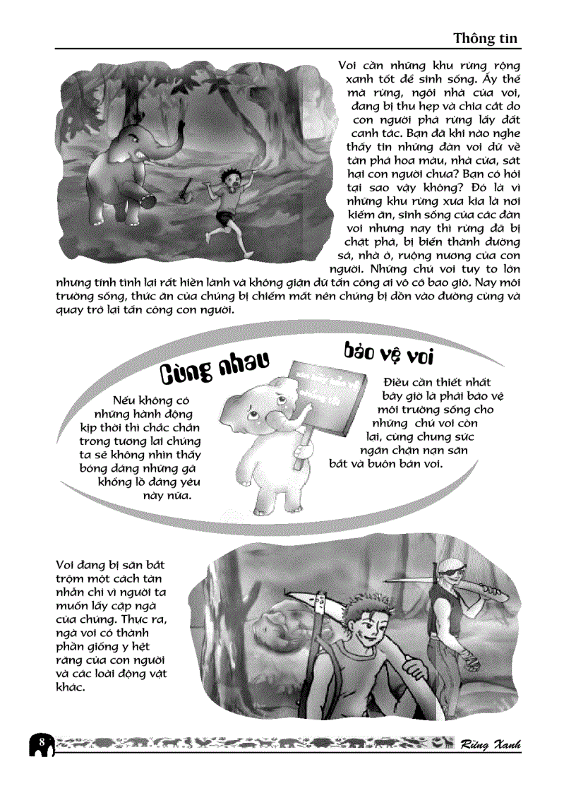 image for page RỪNG XANH Số 26