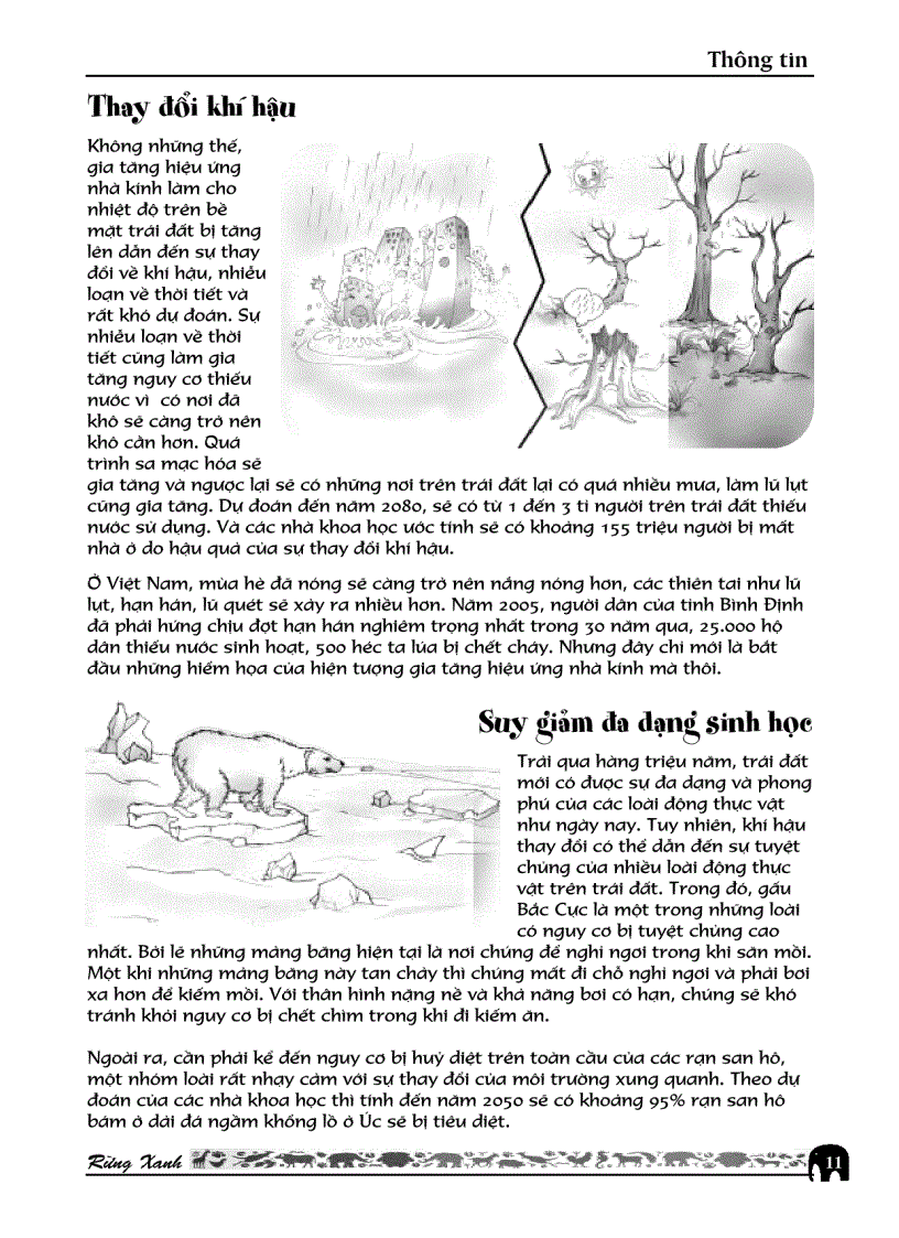 image for page RỪNG XANH Số 26