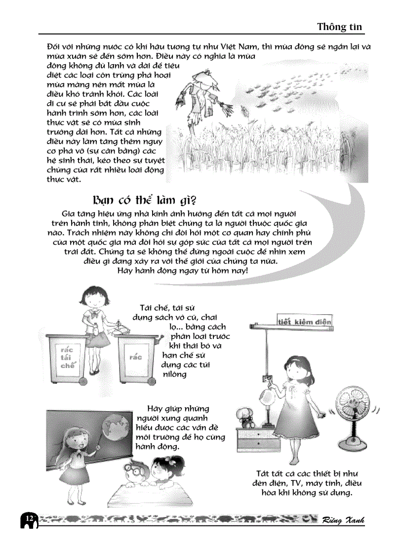 image for page RỪNG XANH Số 26