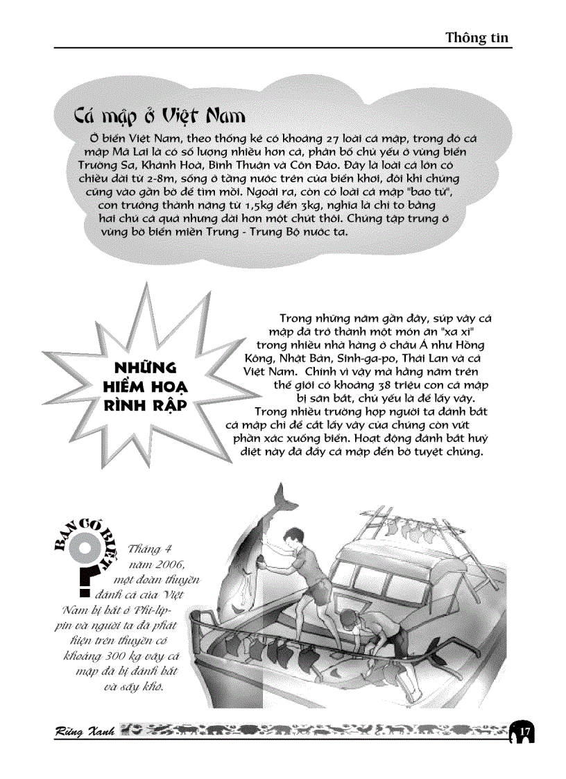 image for page RỪNG XANH Số 26