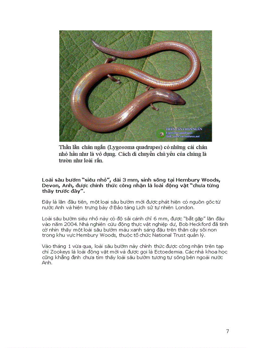 image for page Thông tin về động vật Phần I