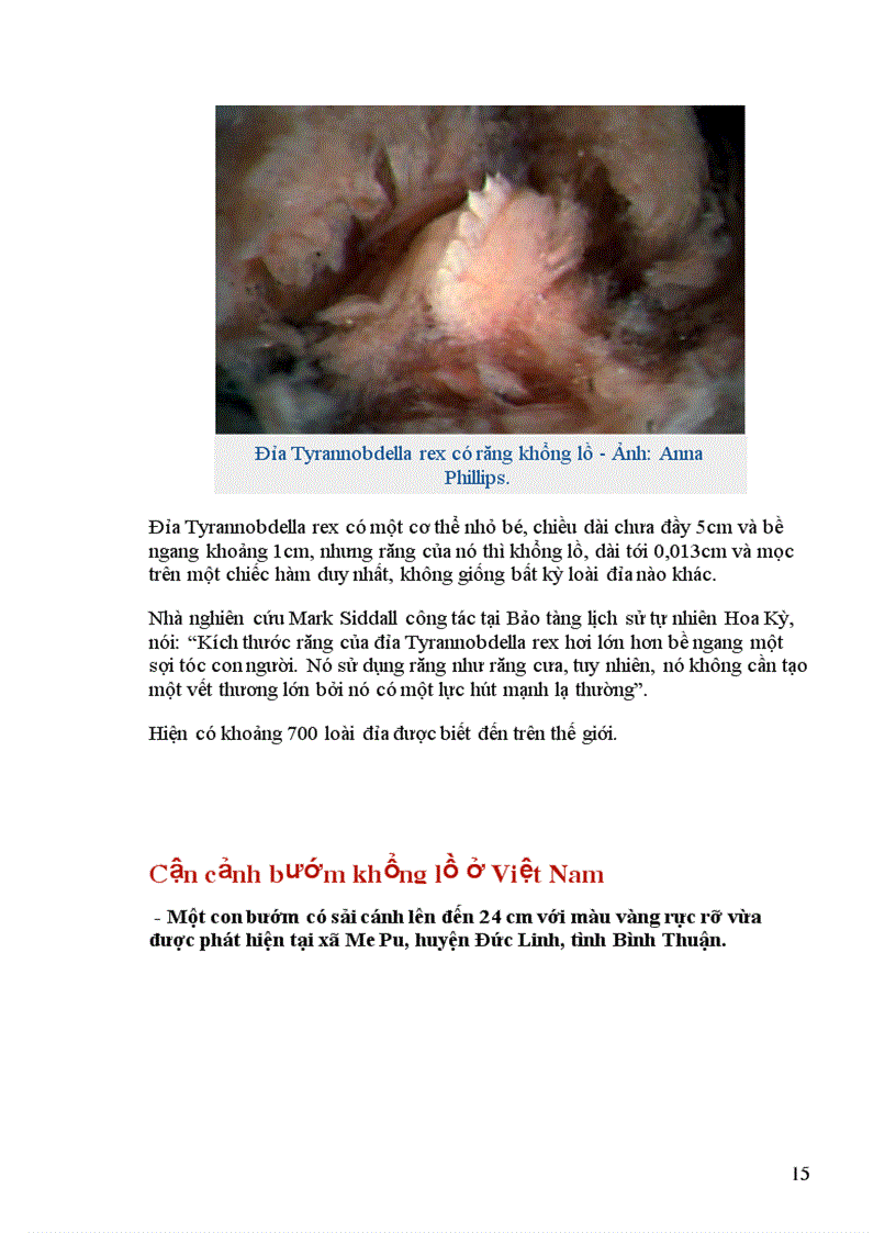 image for page Thông tin về động vật Phần I