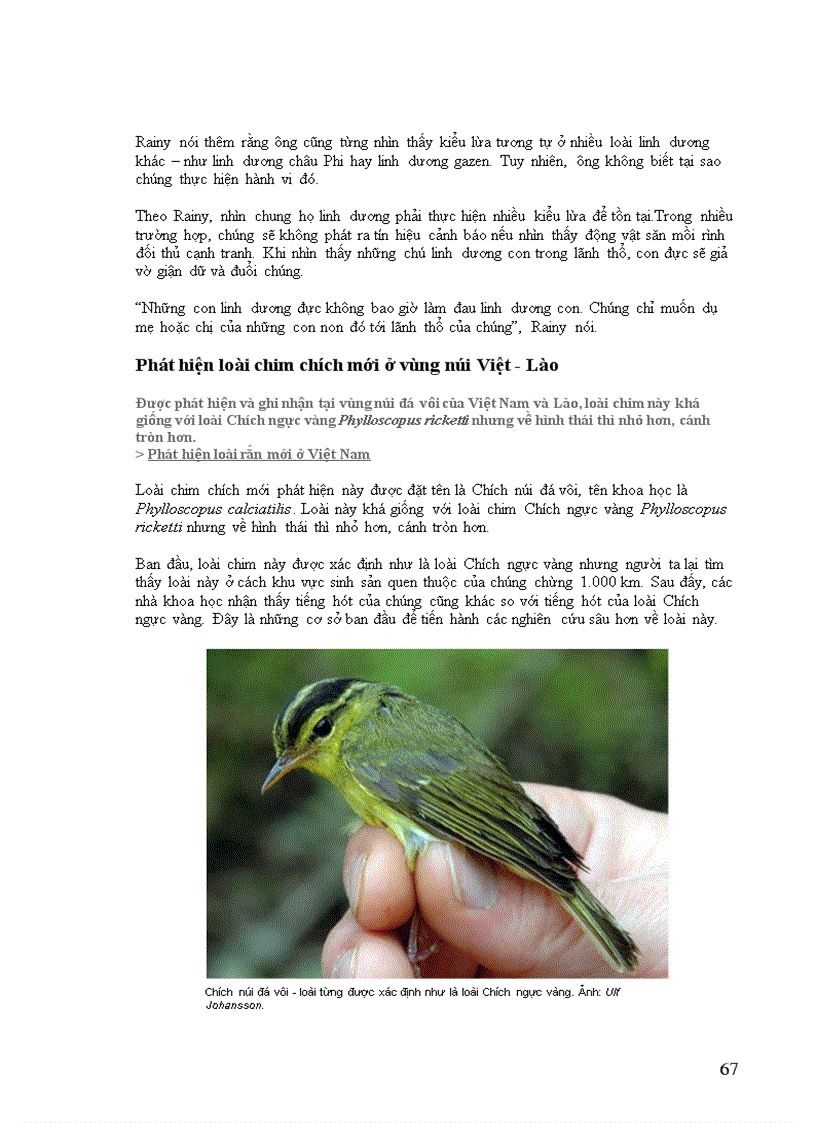 image for page Thông tin về động vật Phần I