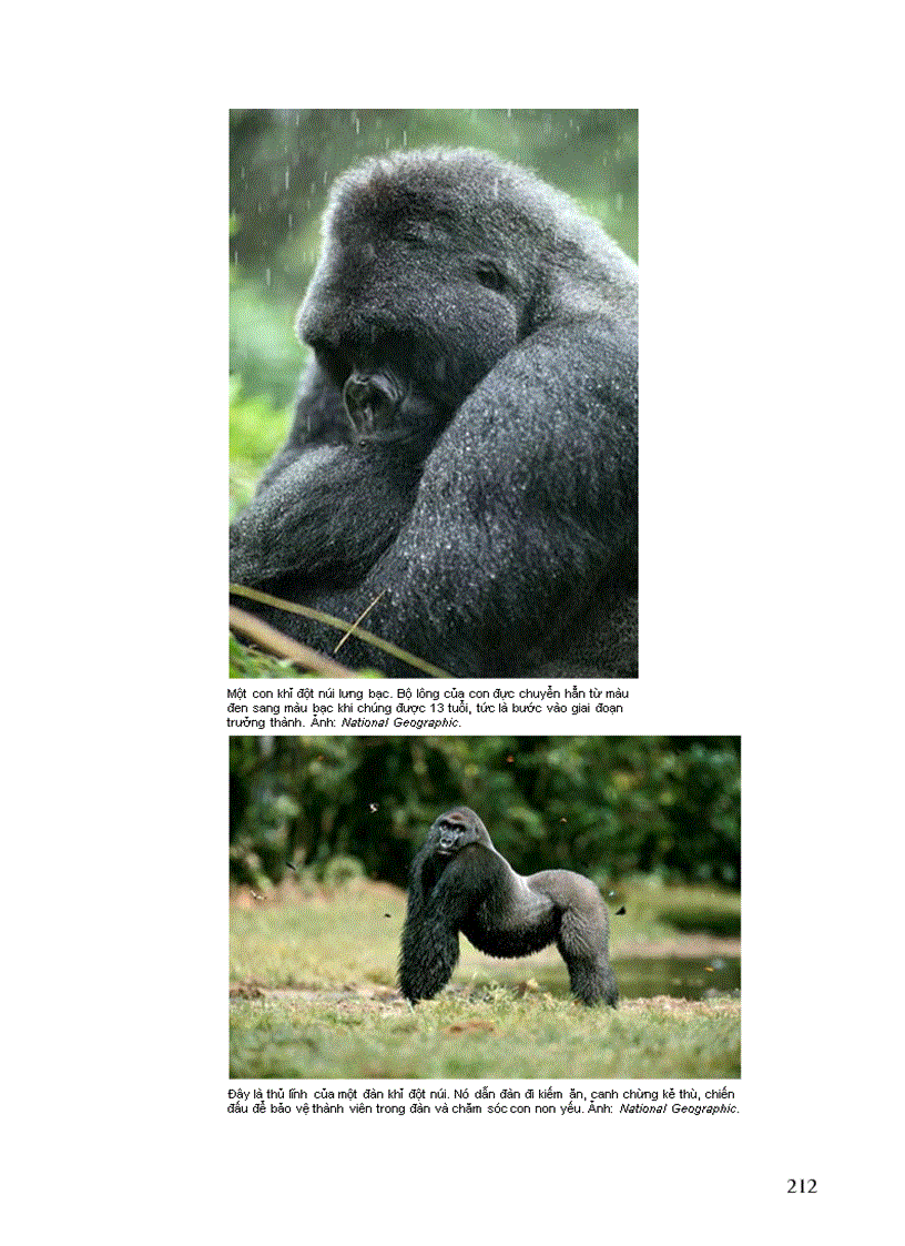 image for page Thông tin về động vật Phần I