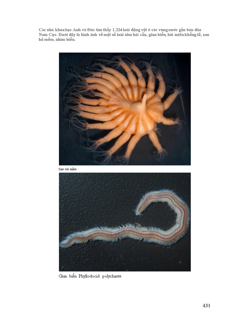 image for page Thông tin về động vật Phần I