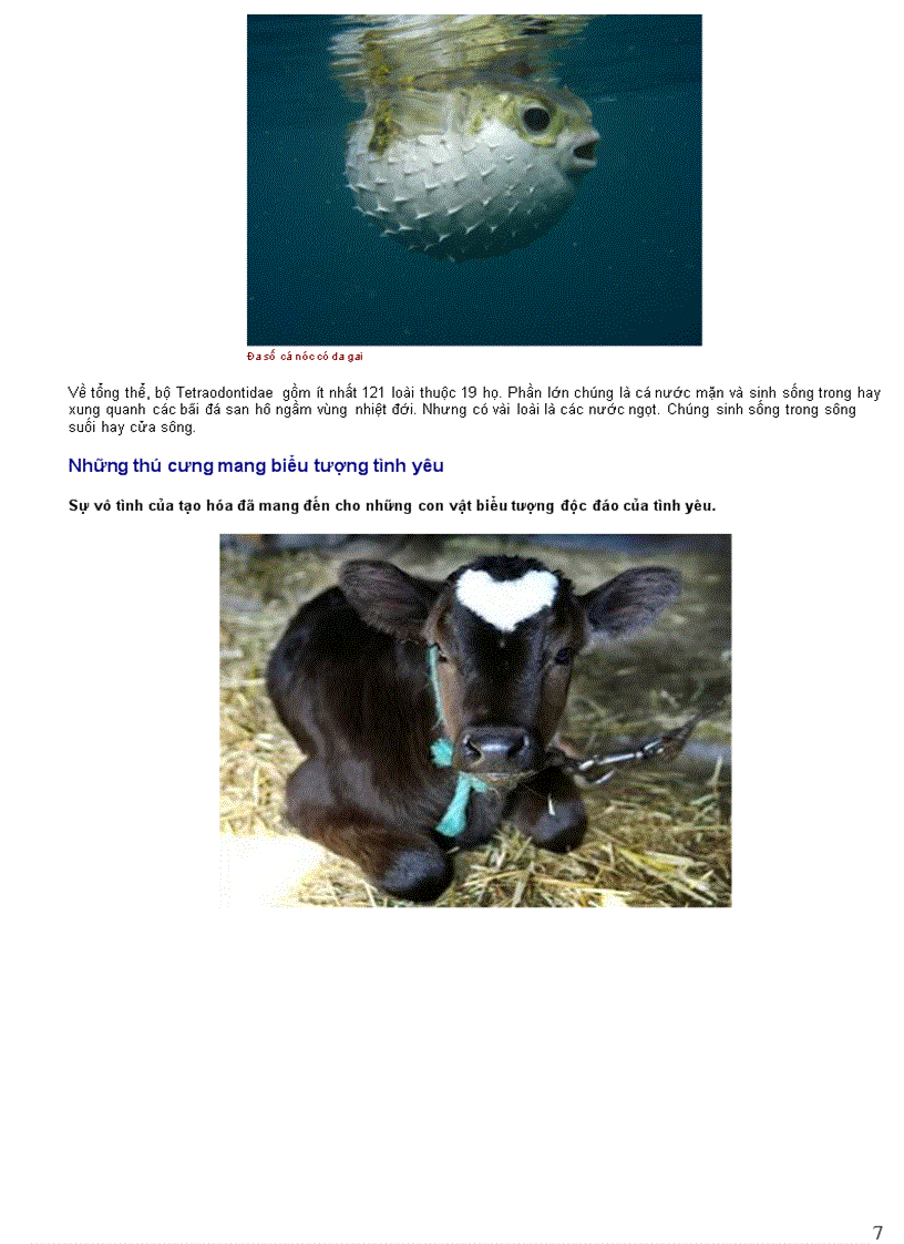 image for page Thông tin về động vật Phần III