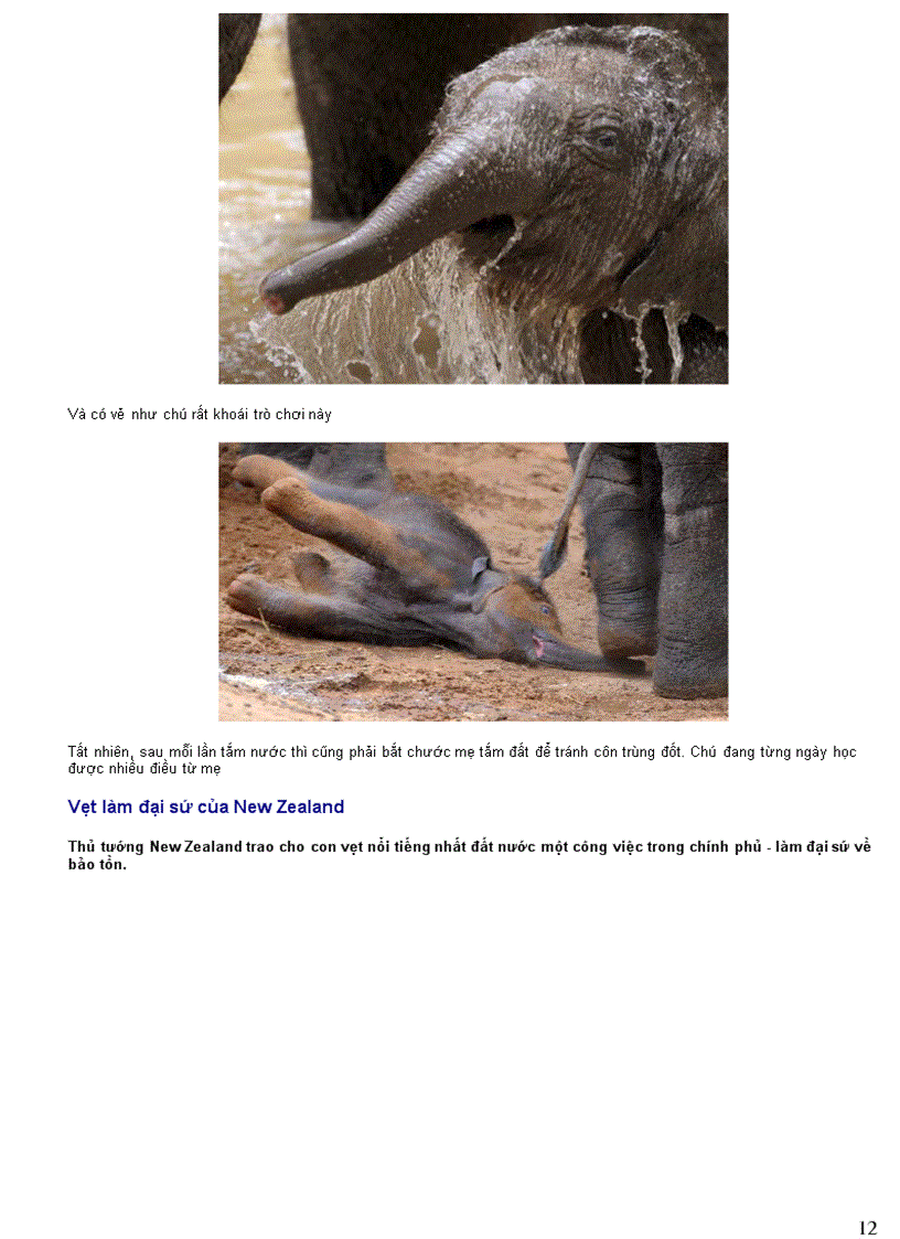 image for page Thông tin về động vật Phần III