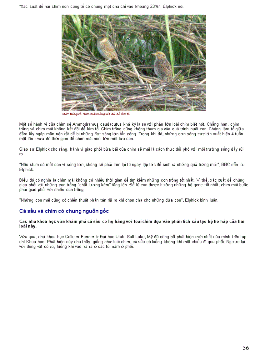 image for page Thông tin về động vật Phần III