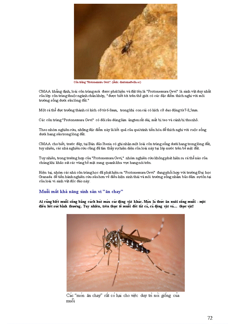 image for page Thông tin về thế giơi động vật PHẦN II