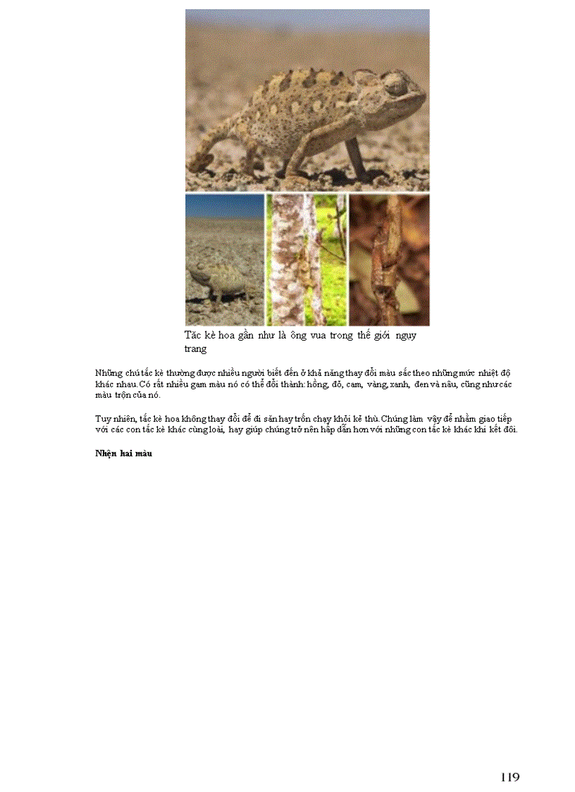 image for page Thông tin về thế giơi động vật PHẦN II