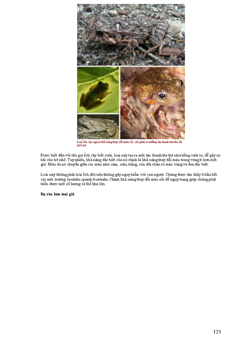 image for page Thông tin về thế giơi động vật PHẦN II